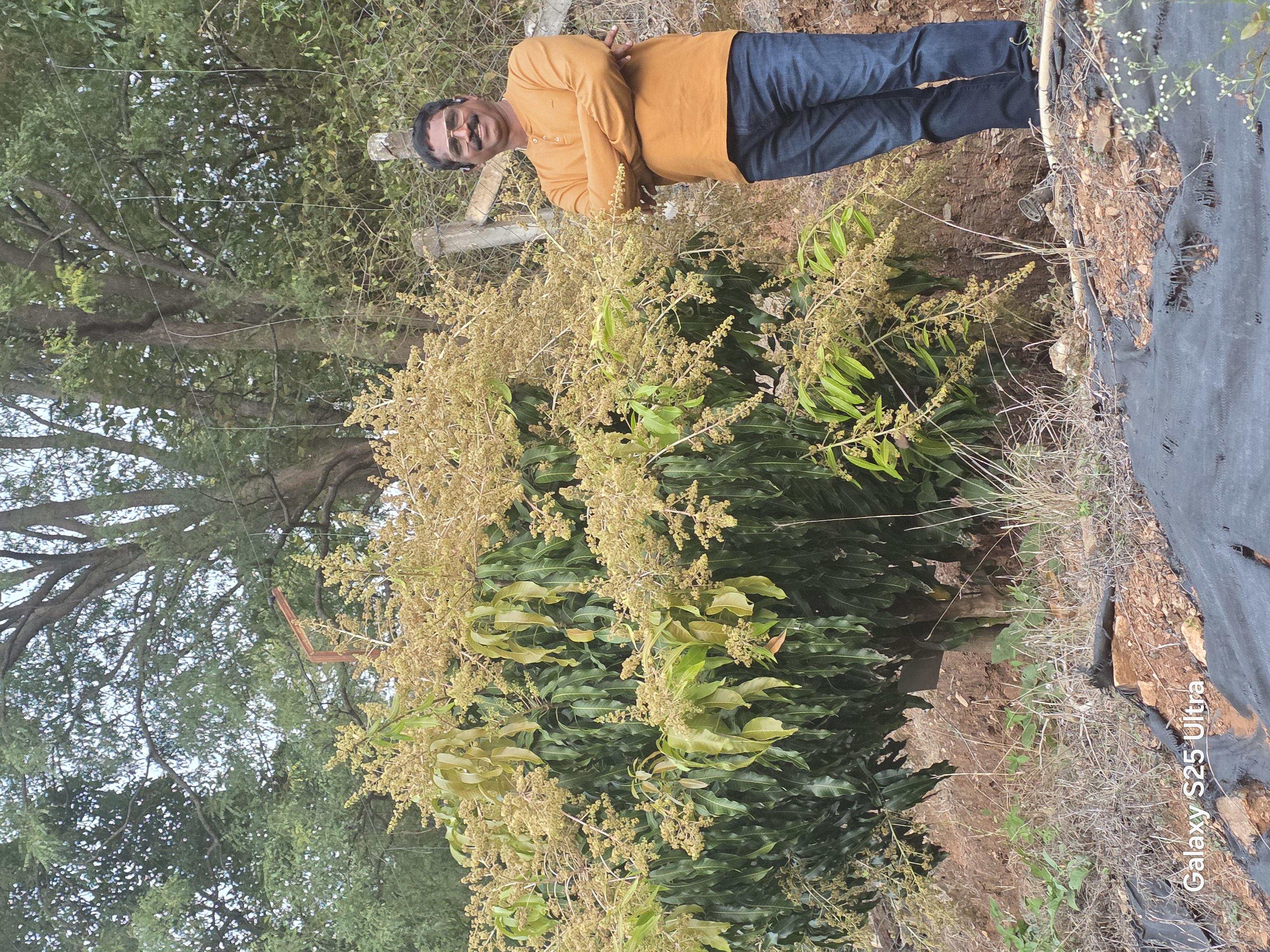 horticulture Nursery