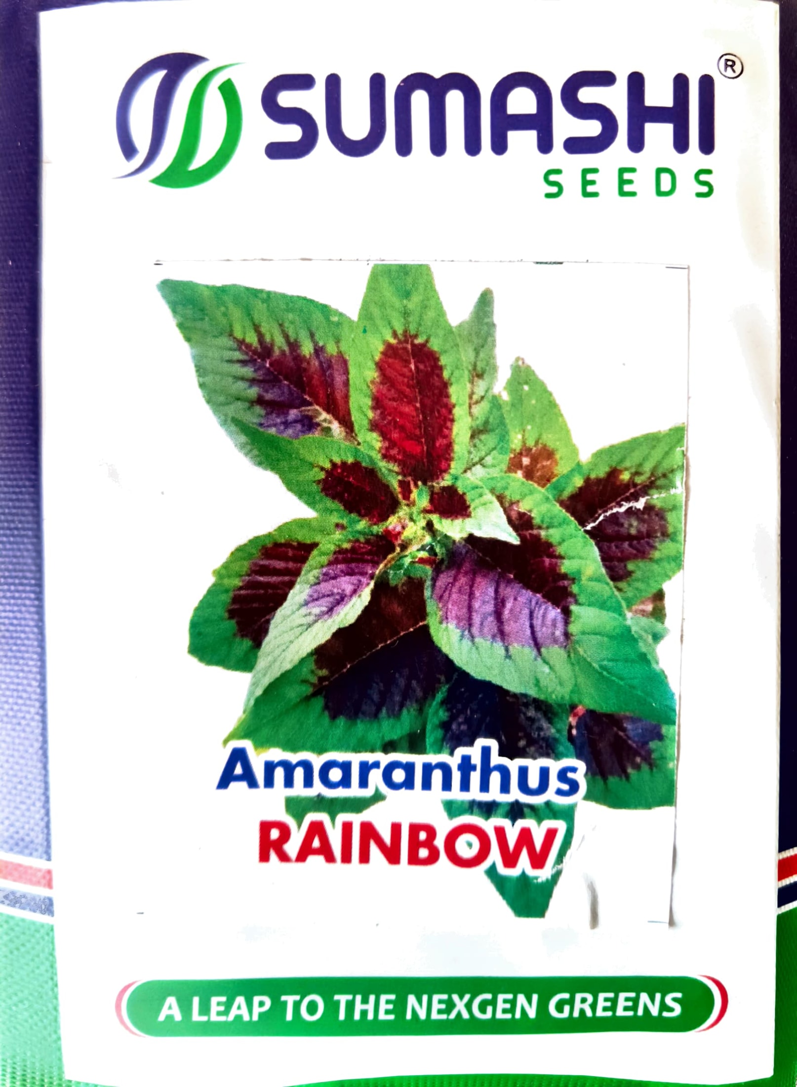 Amaranthus - Seeds - (Rainbow)