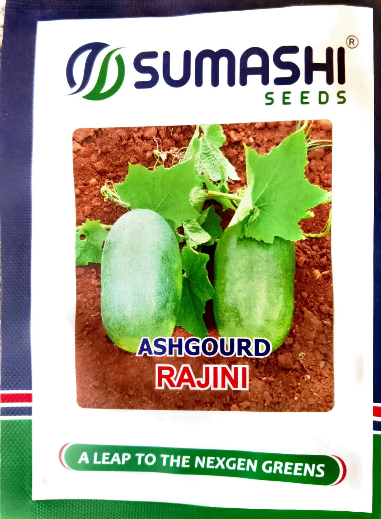 Ashgourd - Seeds (rajini)