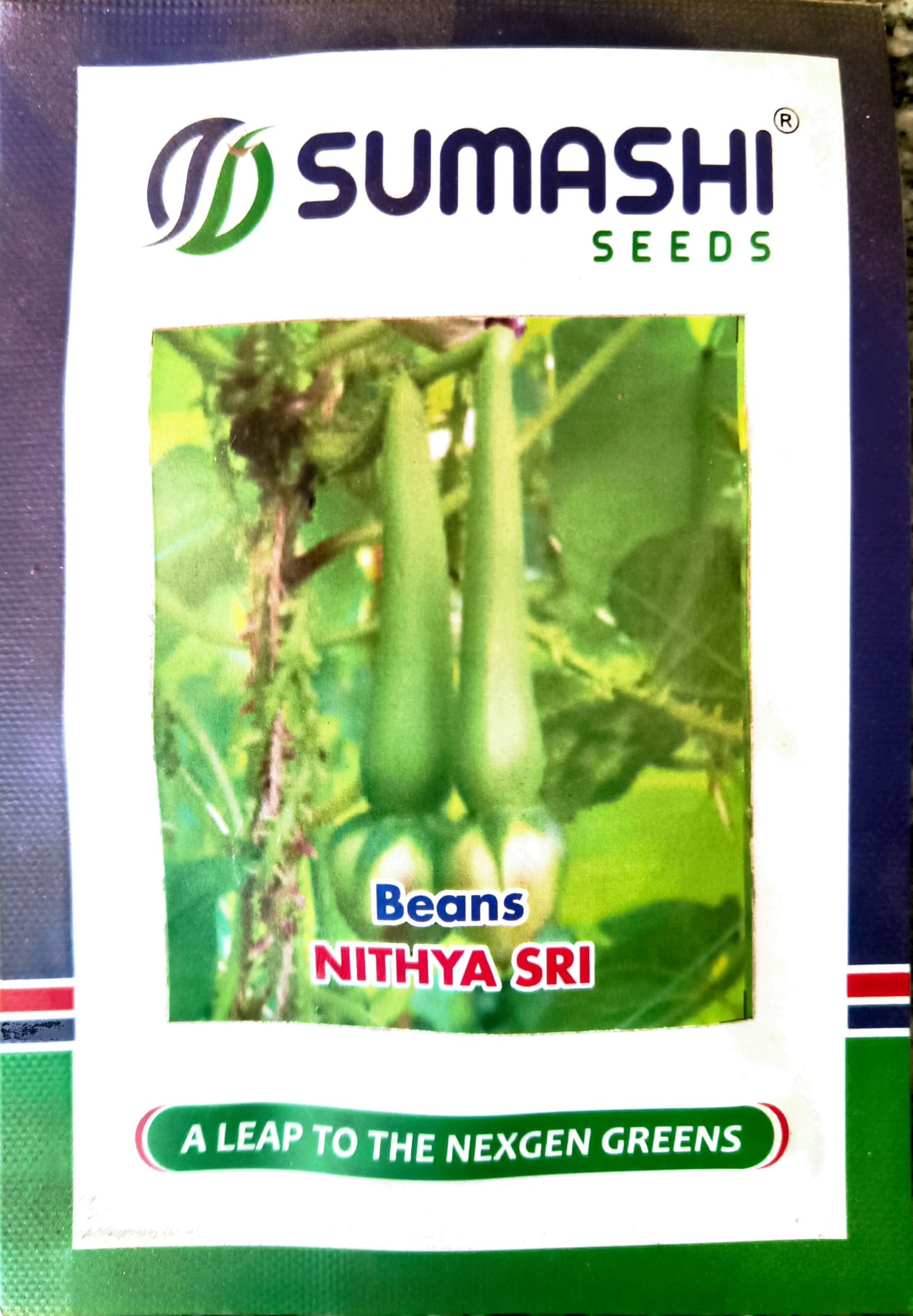 Beans - Seeds (nithyasri)