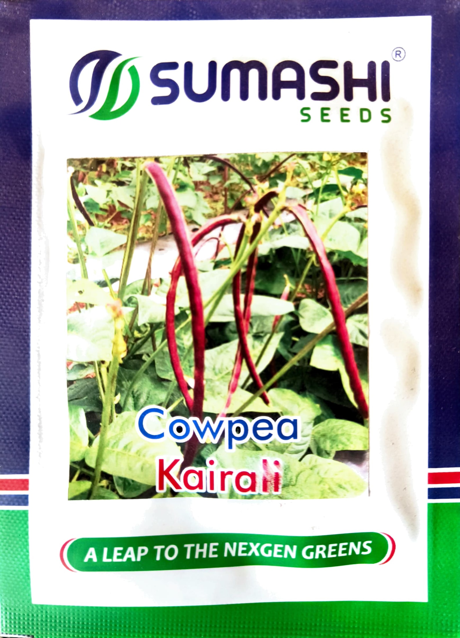 Cowpea - Seeds (kairali)