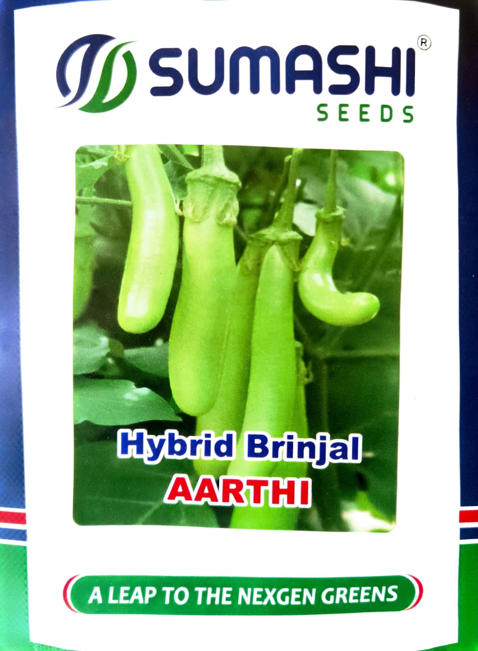 Hybrid Brinjal - Seeds (aarthi)
