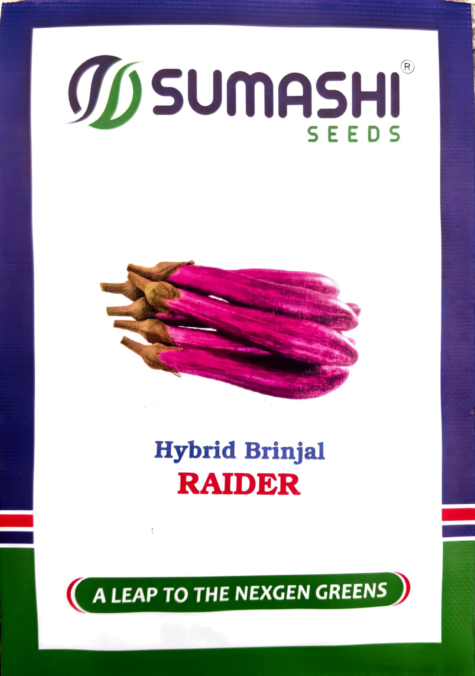 Hybrid Brinjal - Seeds (raider)