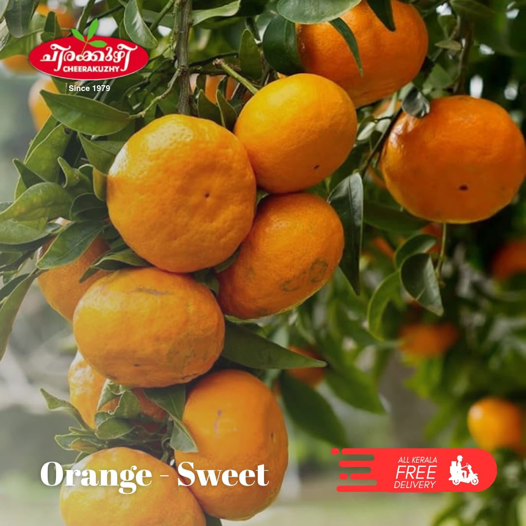 Orange Sweet