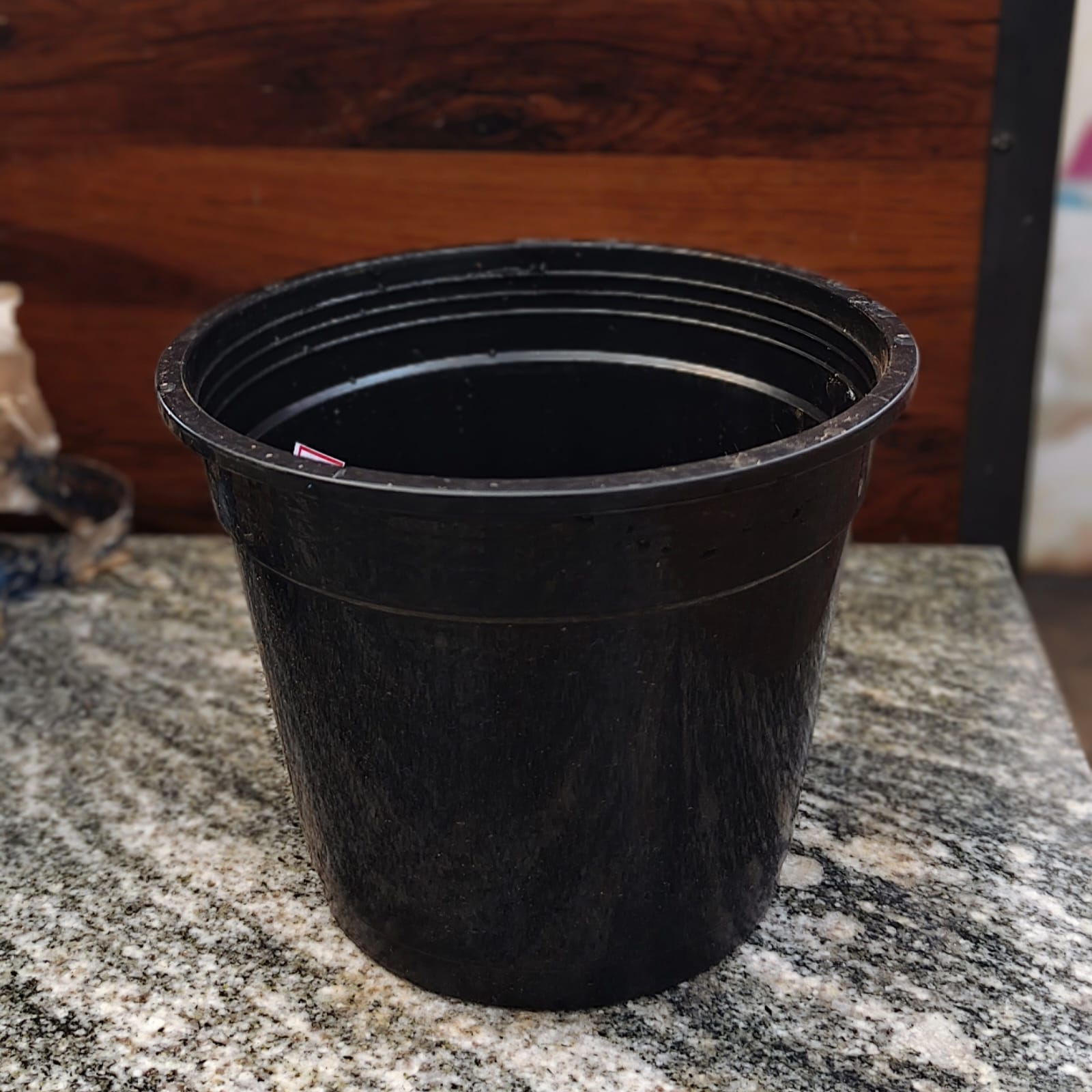 Plastic Pot - Black - 6 Inch