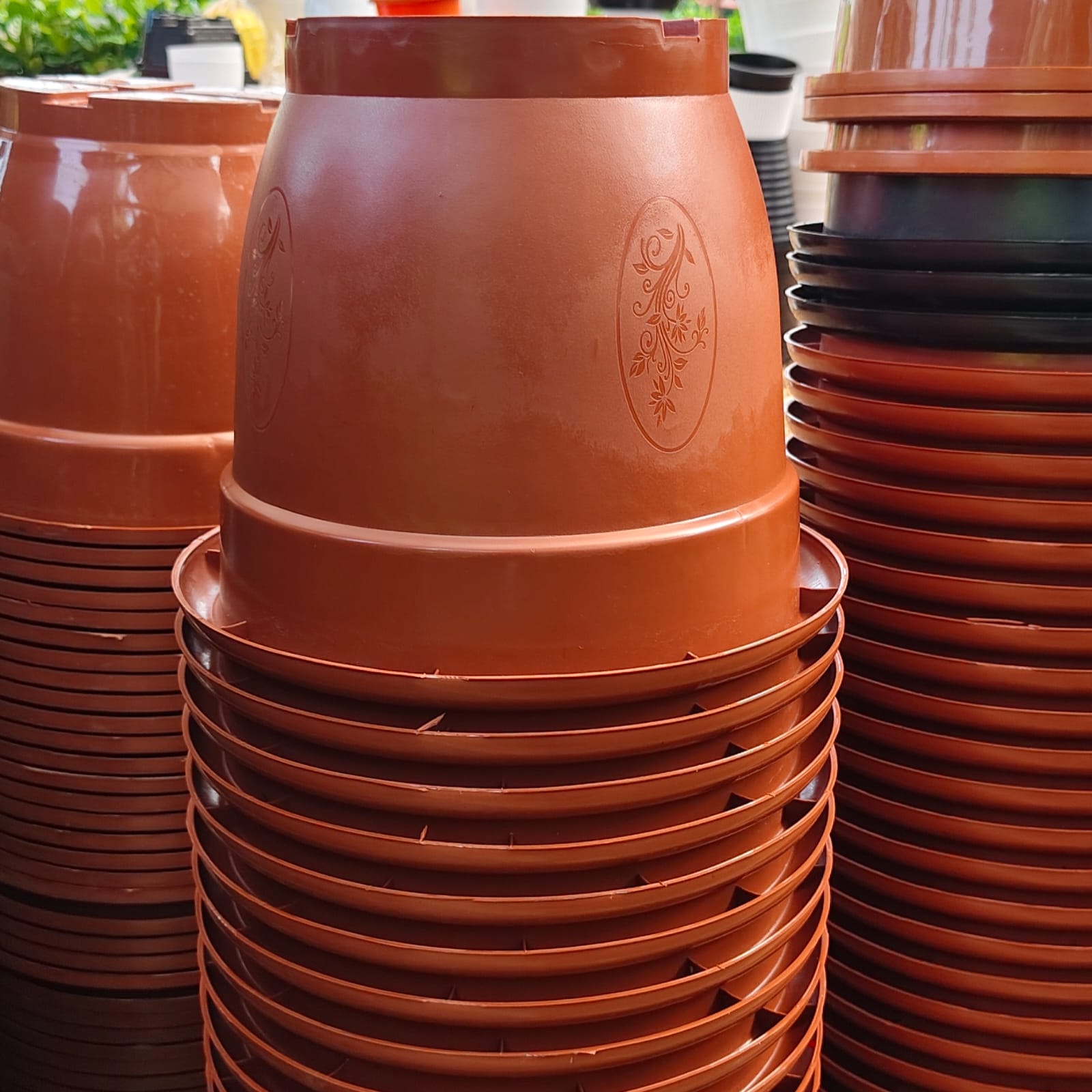 Plastic Pot - Tera - 10 Inch