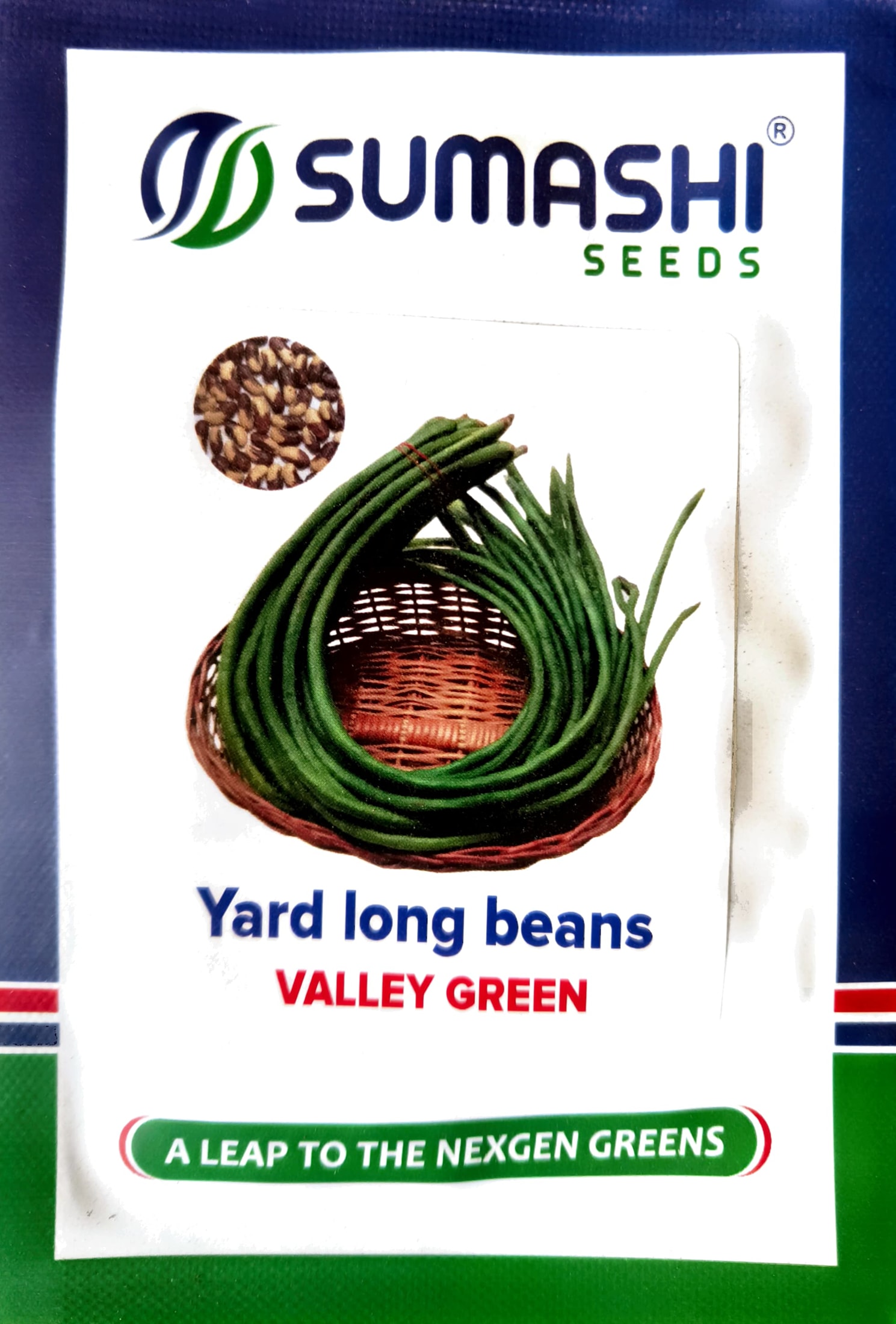 Yard Long Beans - Seeds (valley Green)